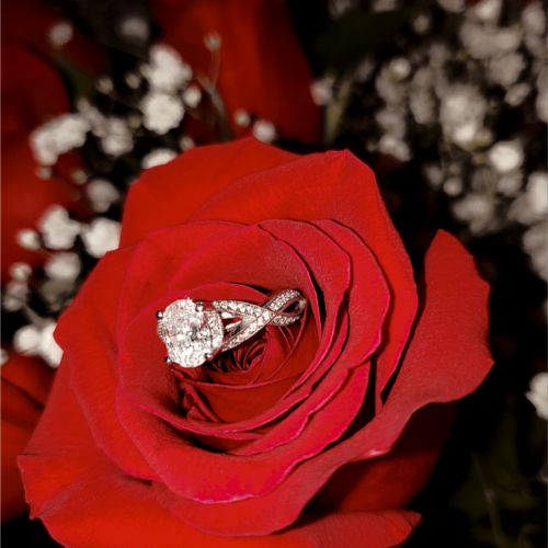 PicsArt_03-08-12.09.40